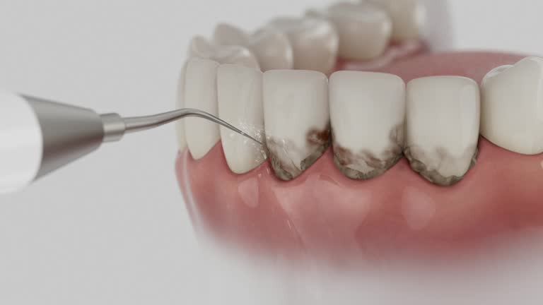 Reliable Dental contractor in Carlinville, IL by Dentist Open Now